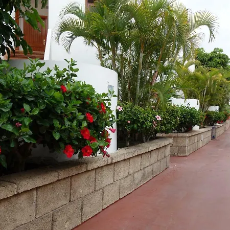 Heated Pool Sea View Speedy Wifi شقة